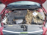 Nissan Altima 2.5 S 1N4AL21E58N450183 снимка