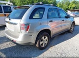 CHEVROLET EQUINOX LS 2CNDL13F686305113 снимка