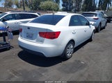 KIA FORTE EX KNAFU4A20C5600642 photo