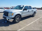 FORD F-150 FX2 SPORT/HARLEY-DAVIDSON/KING RANCH/LARIAT/PLATINUM/XL/XLT 1FTFW1CVXAFC98061 photo