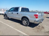 FORD F-150 FX2 SPORT/HARLEY-DAVIDSON/KING RANCH/LARIAT/PLATINUM/XL/XLT 1FTFW1CVXAFC98061 photo