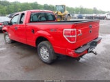 Ford F-150 Stx 1FTEX1CMXBFA36512 снимка