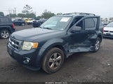 Ford Escape Xlt 1FMCU93G19KA87676 снимка