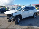 HYUNDAI TUCSON SEL 5NMJB3DE8RH366436 снимка