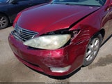 TOYOTA CAMRY XLE V6 4T1BF30K46U111061 fotografie