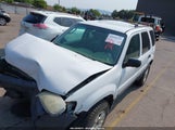 FORD ESCAPE XLT 1FMYU931X4DA16796 снимка
