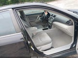 Toyota Camry Se V6 4T1BK46KX8U574804 photo