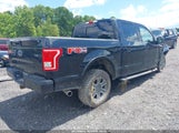 Ford F-150 Xlt 1FTEW1EF4HFA39545 снимка