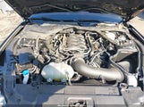 Ford Mustang Gt Premium Fastback 1FA6P8CF7P5307236 снимка