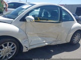Volkswagen New Beetle Gls 3VWCK31C25M408664 снимка