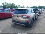 Ford Escape Se 1FMCU9G60MUA31582 снимка