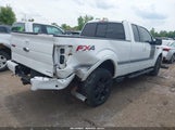 FORD F-150 FX4 1FTFX1EF2DFA32511 снимка