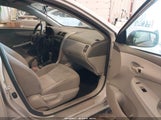 TOYOTA COROLLA LE 1NXBU40E99Z161710 снимка