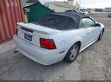 Ford Mustang 1FAFP44471F241214 fotografie
