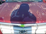 CADILLAC ESCALADE STANDARD 1GYEK63N93R133151 снимка