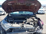 HONDA CR-V LX 5J6RW5H35KL004302 снимка