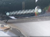 Honda Civic Lx 2HGFG1B64AH509276 снимка