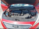 HYUNDAI SONATA 5NPE24AF1HH539235 снимка