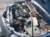 TOYOTA COROLLA LE 2T1BU4EE7AC379580 снимка