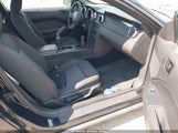 FORD MUSTANG V6 1ZVFT80NX65122031 снимка