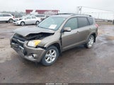 TOYOTA RAV4 LIMITED JTMDF4DV9AD028967 снимка