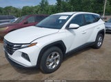 Hyundai Tucson Se 5NMJACDE6RH344051 снимка