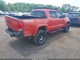 TOYOTA TACOMA TRD OFF ROAD 3TMCZ5AN8HM058988 fotografie