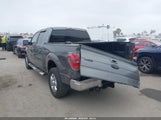 Ford F-150 Fx4/King Ranch/Lariat/Platinum/Xl/Xlt 1FTPW14V19FA14914 fotografie