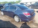 HONDA ACCORD 3.5 EX-L 5KBCP3F84AB013619 снимка