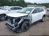 Toyota Rav4 Hybrid Le JTMLWRFVXMD133219 снимка
