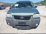 FORD ESCAPE XLT/XLT SPORT 1FMYU93137KB69665 fotografie