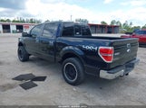 FORD F-150 XLT 1FTFW1EF2DKD61171 снимка