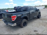 FORD F-150 XLT 1FTFW1EF2DKD61171 снимка