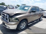 DODGE RAM 1500 SLT/SPORT/TRX 1D3HB13PX9J508924 fotografie