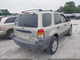 Ford Escape Xlt 1FMYU93145KA20548 снимка