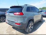 JEEP CHEROKEE TRAILHAWK 1C4PJMBSXEW273520 снимка