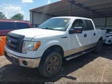 FORD F-150 FX4/HARLEY-DAVIDSON/KING RANCH/LARIAT/PLATINUM/XL/XLT 1FTFW1EV8AKE64727 снимка