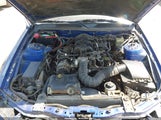 Ford Mustang V6 Deluxe/V6 Premium 1ZVFT80N355260024 photo