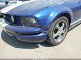 Ford Mustang V6 Deluxe/V6 Premium 1ZVFT80N355260024 fotografie
