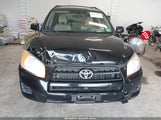 TOYOTA RAV4 2T3BF4DV6CW201969 photo