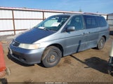 HONDA ODYSSEY EX 2HKRL18631H529797 снимка