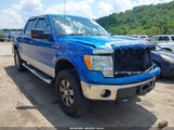 Ford F-150 Fx4/Harley-Davidson/King Ranch/Lariat/Platinum/Xl/Xlt 1FTFW1EV1AFB78081 снимка