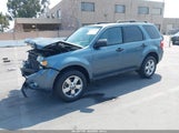 Ford Escape Xlt 1FMCU0DG7AKD33287 снимка