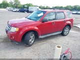 FORD ESCAPE XLT 1FMCU0D73BKB01223 снимка