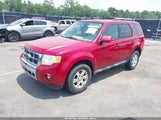 Ford Escape Limited 1FMCU9E75BKB34761 снимка