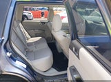 Subaru Forester 2.5X Premium JF2SHADC5DH438999 снимка