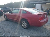 FORD MUSTANG V6 DELUXE/V6 PREMIUM 1ZVHT80N085207259 photo