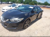 Nissan Maxima 3.5 Sv 1N4AA6AP4HC393985 снимка