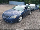 NISSAN ALTIMA S/SL 1N4AL11DX6N454695 photo
