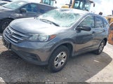 Honda Cr-V Lx 3CZRM3H33EG711765 снимка